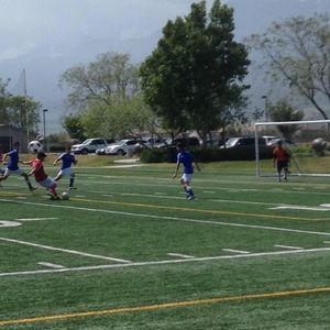 Meet your Posher, Pedro